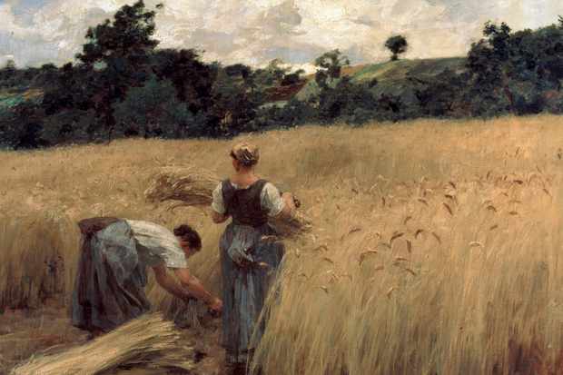 Agriculture - Getty Images