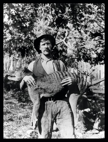 Australian hunter with a recently killed Tasmanian Tiger (thylacine). Tasmania, Australia. 1925. (Photo by: Photo 12/Universal Images Group via Getty Images) A black and white photo of a man holding the corpse of a thylacine.