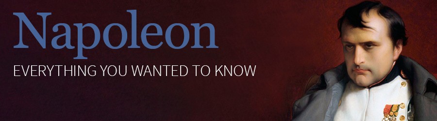 Napoleon banner Napoleon banner